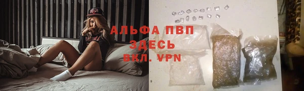 индика Тутаев