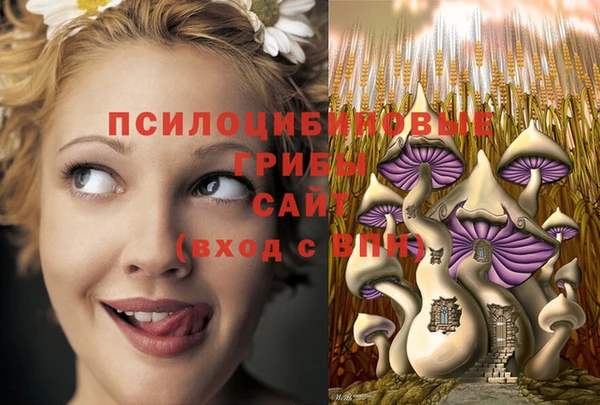 наркотики Горняк