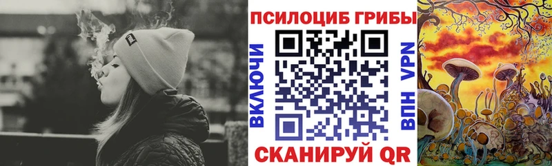 Галлюциногенные грибы MAGIC MUSHROOMS  Меленки 